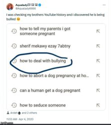 brother's search history Meme Template