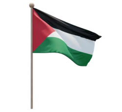 PALESTINE FLAG Meme Template