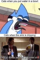 Sink dripping Meme Template