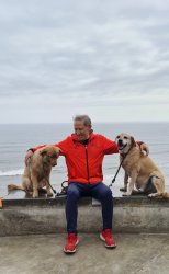 yo y mis perros Meme Template