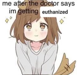 Me after the doctor says I'm getting euthanized Meme Template