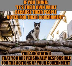This #lolcat wonders if you are responsible for your government Meme Template