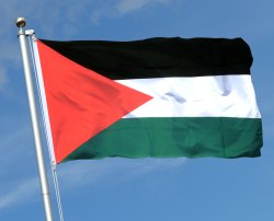 Palestine-flag Meme Template