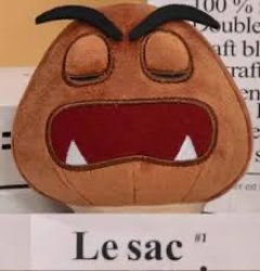 Le sac Meme Template