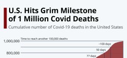 1 million us deaths Meme Template