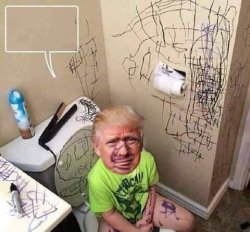 Trump baby infant toddler child toilet scribble walls Meme Template