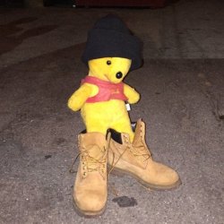 Pooh Timbs Meme Template