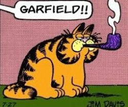 Garfield!! Meme Template