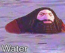 Water Meme Template