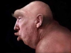 croMAGA Meme Template