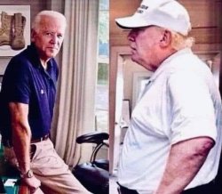 Biden Trump healthy old elderly aged Meme Template