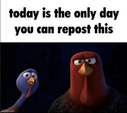 Today is the only day you can repost this Meme Template