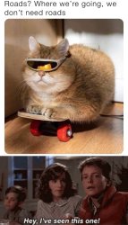 Roads Meme Template