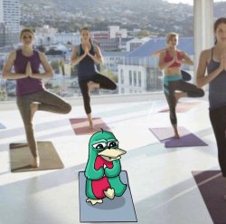 wassie yoga Meme Template