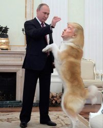 Putin master Trump dog pet useful idiot for Russians since 1980 Meme Template