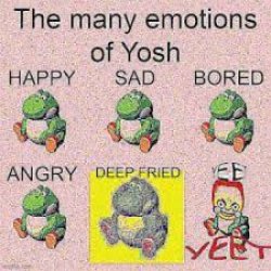 Many emotions of yoshi Meme Template