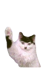 Kitler Meme Template