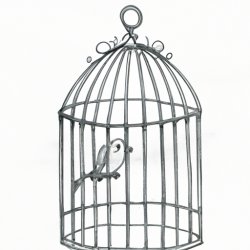 bird trapped in a cage Meme Template