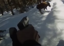man shoots moose with his glock after being attacked Meme Template
