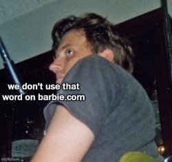 we dont use that word on barbie.com Meme Template
