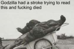 Godzilla Stroke Meme Template