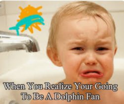 Miami Dolphins Meme Template