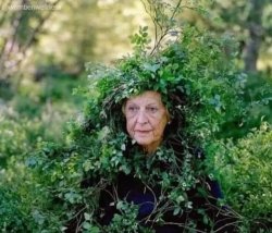 OLD LADY HIDING IN THE HEDGE Meme Template
