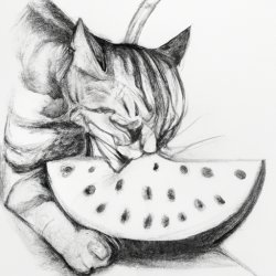 Cat eating watermelon Meme Template