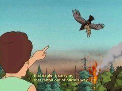 Eagle carrying rabbit out of harm's way Meme Template