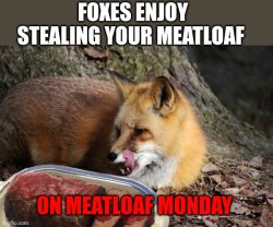 Fox facts Meme Template