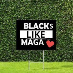 Blacks Like MAGA Meme Template