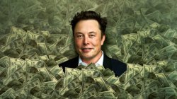 elon musk swimming in money Meme Template