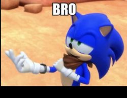 Bro (Sonic Boom) Meme Template