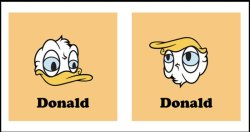 You got the other donald Meme Template
