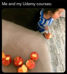 Me and my courses Meme Template