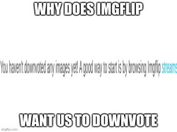 Why Meme Template