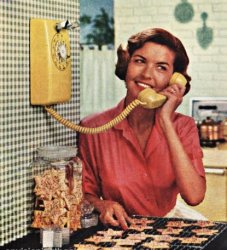 1950’s Housewife Meme Template