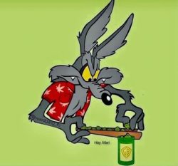 Willie Meme Template