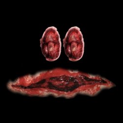 A-60 Fourth Face (gore warning) Meme Template