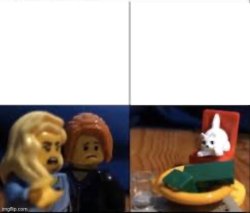 LEGO women yelling at LEGO cat. Meme Template