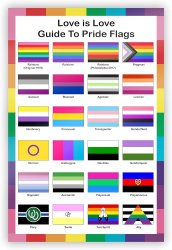pride flags Meme Template