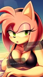 Amy Rose Leaning Over Black Bikini Meme Template