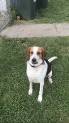 This is a meme from 2027 Meme Template