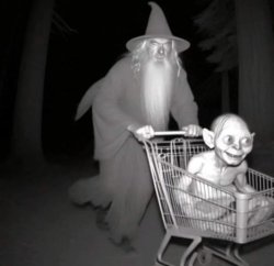 Gandalf pushing Gollum in shopping cart Meme Template