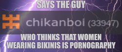 says the guy who thinks that women wearing bikinis is porn Meme Template