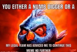 you either a numb digger or a my legal team Meme Template