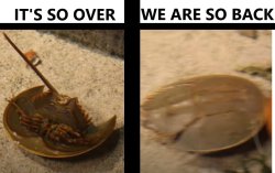 It's so over / we are so back Meme Template