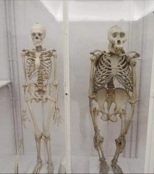 For us Neanderthals... Meme Template