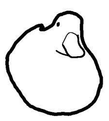 Duck Meme Template