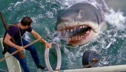 Jaws Meme Template